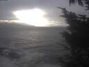 ./images/koeye/fitz-hugh/20241030/fitz-hugh20241030_154001.jpg
