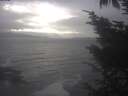 ./images/koeye/fitz-hugh/20241030/fitz-hugh20241030_154502.jpg