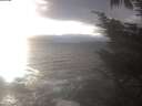 ./images/koeye/fitz-hugh/20241030/fitz-hugh20241030_162002.jpg