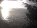./images/koeye/fitz-hugh/20241030/fitz-hugh20241030_164002.jpg