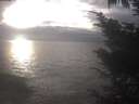 ./images/koeye/fitz-hugh/20241030/fitz-hugh20241030_164502.jpg
