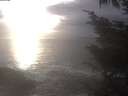 ./images/koeye/fitz-hugh/20241030/fitz-hugh20241030_170002.jpg