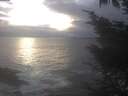 ./images/koeye/fitz-hugh/20241030/fitz-hugh20241030_170502.jpg