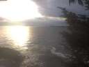 ./images/koeye/fitz-hugh/20241030/fitz-hugh20241030_171002.jpg
