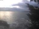 ./images/koeye/fitz-hugh/20241030/fitz-hugh20241030_171502.jpg
