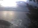 ./images/koeye/fitz-hugh/20241030/fitz-hugh20241030_172501.jpg