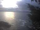 ./images/koeye/fitz-hugh/20241030/fitz-hugh20241030_173001.jpg