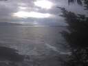 ./images/koeye/fitz-hugh/20241030/fitz-hugh20241030_182001.jpg