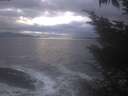 ./images/koeye/fitz-hugh/20241030/fitz-hugh20241030_182501.jpg