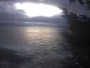 ./images/koeye/fitz-hugh/20241030/fitz-hugh20241030_183002.jpg