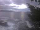 ./images/koeye/fitz-hugh/20241030/fitz-hugh20241030_184502.jpg