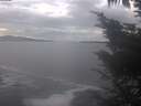 ./images/koeye/fitz-hugh/20241031/fitz-hugh20241031_143002.jpg