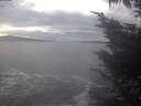 ./images/koeye/fitz-hugh/20241031/fitz-hugh20241031_144001.jpg