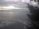 ./images/koeye/fitz-hugh/20241031/fitz-hugh20241031_145001.jpg