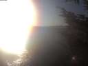 ./images/koeye/fitz-hugh/20241101/fitz-hugh20241101_164502.jpg