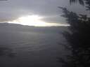./images/koeye/fitz-hugh/20241102/fitz-hugh20241102_163002.jpg