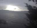 ./images/koeye/fitz-hugh/20241102/fitz-hugh20241102_165002.jpg