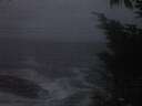 ./images/koeye/fitz-hugh/20241103/fitz-hugh20241103_174002.jpg