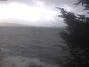 ./images/koeye/fitz-hugh/20241104/fitz-hugh20241104_122501.jpg