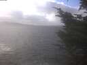 ./images/koeye/fitz-hugh/20241104/fitz-hugh20241104_125502.jpg
