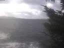 ./images/koeye/fitz-hugh/20241104/fitz-hugh20241104_130502.jpg