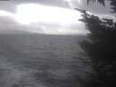 ./images/koeye/fitz-hugh/20241104/fitz-hugh20241104_131002.jpg
