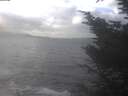 ./images/koeye/fitz-hugh/20241104/fitz-hugh20241104_132502.jpg