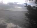 ./images/koeye/fitz-hugh/20241104/fitz-hugh20241104_133002.jpg