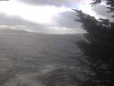 ./images/koeye/fitz-hugh/20241104/fitz-hugh20241104_134502.jpg