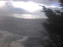 ./images/koeye/fitz-hugh/20241104/fitz-hugh20241104_135002.jpg