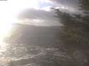 ./images/koeye/fitz-hugh/20241104/fitz-hugh20241104_140502.jpg