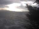 ./images/koeye/fitz-hugh/20241104/fitz-hugh20241104_142002.jpg