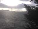 ./images/koeye/fitz-hugh/20241104/fitz-hugh20241104_142502.jpg