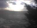 ./images/koeye/fitz-hugh/20241104/fitz-hugh20241104_143002.jpg