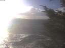 ./images/koeye/fitz-hugh/20241104/fitz-hugh20241104_144002.jpg