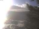 ./images/koeye/fitz-hugh/20241104/fitz-hugh20241104_144501.jpg