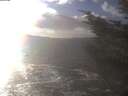 ./images/koeye/fitz-hugh/20241104/fitz-hugh20241104_145001.jpg
