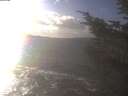 ./images/koeye/fitz-hugh/20241104/fitz-hugh20241104_145501.jpg