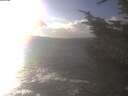 ./images/koeye/fitz-hugh/20241104/fitz-hugh20241104_150002.jpg