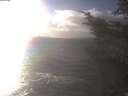 ./images/koeye/fitz-hugh/20241104/fitz-hugh20241104_150501.jpg