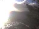 ./images/koeye/fitz-hugh/20241104/fitz-hugh20241104_151001.jpg