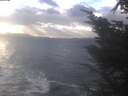./images/koeye/fitz-hugh/20241104/fitz-hugh20241104_151501.jpg