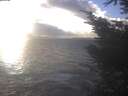 ./images/koeye/fitz-hugh/20241104/fitz-hugh20241104_153002.jpg