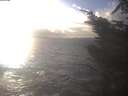 ./images/koeye/fitz-hugh/20241104/fitz-hugh20241104_153501.jpg