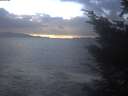 ./images/koeye/fitz-hugh/20241104/fitz-hugh20241104_160501.jpg