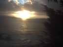 ./images/koeye/fitz-hugh/20241104/fitz-hugh20241104_165002.jpg