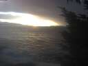 ./images/koeye/fitz-hugh/20241104/fitz-hugh20241104_165502.jpg