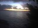 ./images/koeye/fitz-hugh/20241104/fitz-hugh20241104_173002.jpg