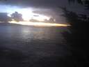 ./images/koeye/fitz-hugh/20241104/fitz-hugh20241104_173502.jpg
