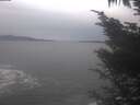 ./images/koeye/fitz-hugh/20241105/fitz-hugh20241105_135502.jpg